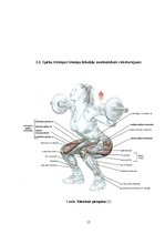 Diplomdarbs 'Speciālie vingrinājumi spēka trīscīņā', 17.