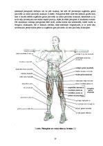 Diplomdarbs 'Speciālie vingrinājumi spēka trīscīņā', 19.
