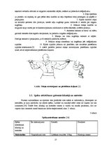 Diplomdarbs 'Speciālie vingrinājumi spēka trīscīņā', 27.