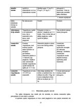 Diplomdarbs 'Speciālie vingrinājumi spēka trīscīņā', 28.