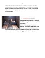 Referāts 'Viesnīcu neparastāko pakalpojumu raksturojums', 8.