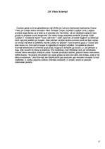 Referāts '"Līvi"- devums Liepājas kultūras dzīvē no 1976. - 2007.gadam', 17.