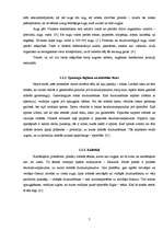 Referāts 'Dabā notiekošo parādību modelēšanas iespējas ķīmijas laboratorijā', 7.