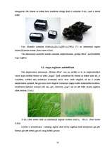 Referāts 'Dabā notiekošo parādību modelēšanas iespējas ķīmijas laboratorijā', 16.