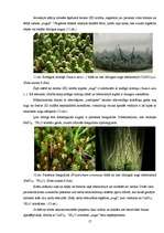 Referāts 'Dabā notiekošo parādību modelēšanas iespējas ķīmijas laboratorijā', 17.