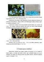 Referāts 'Dabā notiekošo parādību modelēšanas iespējas ķīmijas laboratorijā', 18.