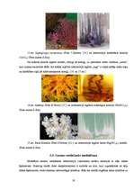 Referāts 'Dabā notiekošo parādību modelēšanas iespējas ķīmijas laboratorijā', 19.