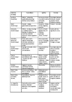 Konspekts 'Pedagoģijas atziņu attīstība vēsturiskā aspektā', 2.