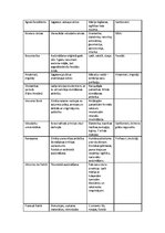 Konspekts 'Pedagoģijas atziņu attīstība vēsturiskā aspektā', 3.