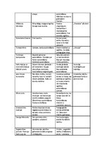 Konspekts 'Pedagoģijas atziņu attīstība vēsturiskā aspektā', 4.