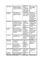 Konspekts 'Pedagoģijas atziņu attīstība vēsturiskā aspektā', 7.