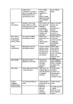 Konspekts 'Pedagoģijas atziņu attīstība vēsturiskā aspektā', 8.