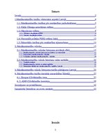 Referāts 'Mazākumtautību tiesības kontekstā ar valodu lietošanu', 2.