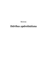 Referāts 'Dzīvības apdrošināšana', 1.