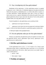 Referāts 'Dzīvības apdrošināšana', 6.