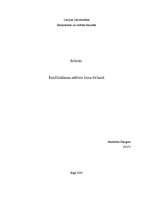 Referāts 'Izmitināšanas sektora loma tūrismā', 1.