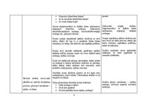 Konspekts 'Vizuālās mākslas konspekti 2.klasei', 4.