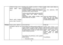 Konspekts 'Vizuālās mākslas konspekti 2.klasei', 16.