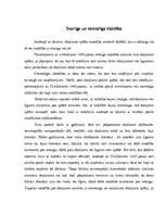 Referāts 'Maldība gribas izteikumā', 9.