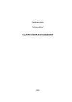 Referāts 'Kultūras teoriju daudzveidība', 1.