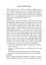 Referāts 'Kultūras teoriju daudzveidība', 3.