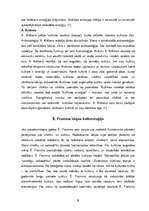 Referāts 'Kultūras teoriju daudzveidība', 8.