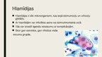 Prezentācija 'Hlamīdijas', 2.