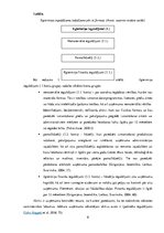 Referāts 'Ilgtermiņa ieguldījumu uzskaite, kontrole un to pilnveides iespējas uzņēmumā SIA', 8.