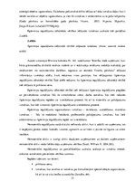 Referāts 'Ilgtermiņa ieguldījumu uzskaite, kontrole un to pilnveides iespējas uzņēmumā SIA', 15.