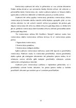 Referāts 'Ilgtermiņa ieguldījumu uzskaite, kontrole un to pilnveides iespējas uzņēmumā SIA', 19.