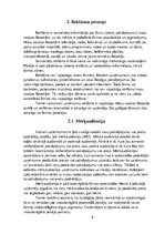 Referāts 'Reklāma', 9.