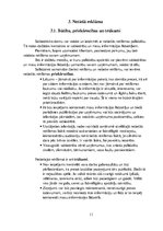 Referāts 'Reklāma', 11.