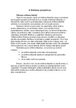 Referāts 'Reklāma', 13.