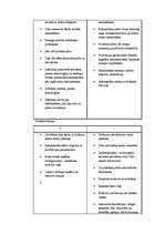 Konspekts 'Padomju Savienības plusi un mīnusi', 2.