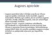 Prezentācija 'Augkopība. Augsne un mēslošana', 9.