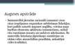 Prezentācija 'Augkopība. Augsne un mēslošana', 16.