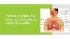Prezentācija 'Fizisko vingrinājumu ietekme uz elpošanas sistēmas veselību', 1.