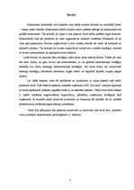 Referāts 'Stratēģijas izvēle un tās realizēšana uzņēmumā', 3.