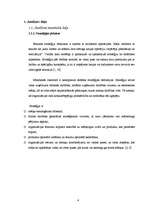 Referāts 'Stratēģijas izvēle un tās realizēšana uzņēmumā', 4.