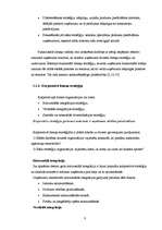 Referāts 'Stratēģijas izvēle un tās realizēšana uzņēmumā', 8.