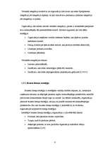 Referāts 'Stratēģijas izvēle un tās realizēšana uzņēmumā', 9.