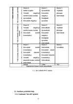 Referāts 'Stratēģijas izvēle un tās realizēšana uzņēmumā', 15.
