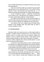 Referāts 'Stratēģijas izvēle un tās realizēšana uzņēmumā', 17.