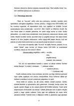 Referāts 'Stratēģijas izvēle un tās realizēšana uzņēmumā', 18.