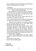 Referāts 'Stratēģijas izvēle un tās realizēšana uzņēmumā', 19.