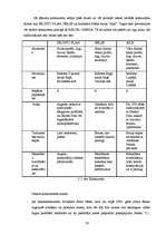 Referāts 'Stratēģijas izvēle un tās realizēšana uzņēmumā', 20.