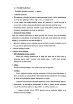 Referāts 'Stratēģijas izvēle un tās realizēšana uzņēmumā', 23.