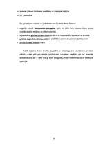 Referāts 'Stratēģijas izvēle un tās realizēšana uzņēmumā', 29.