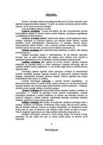 Referāts 'Kultūra', 12.