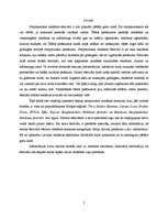 Referāts 'Starptautiskie reklāmas konkursi un to attīstība Latvijā', 2.